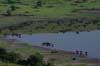 20090604-085522_QENP_Uganda_African_Buffalos_Salt_Lake