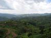 20090605-131643_Uganda_Bwindi_Impenetrable_Forest_National_Park